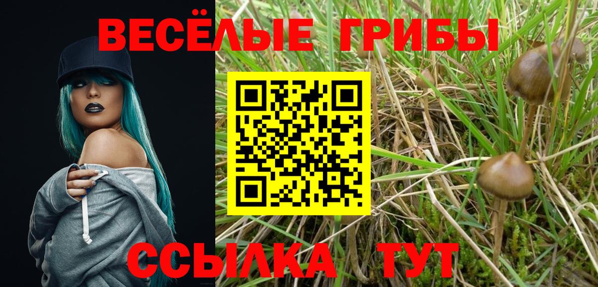 Галлюциногенные грибы прущие грибы Кувандык