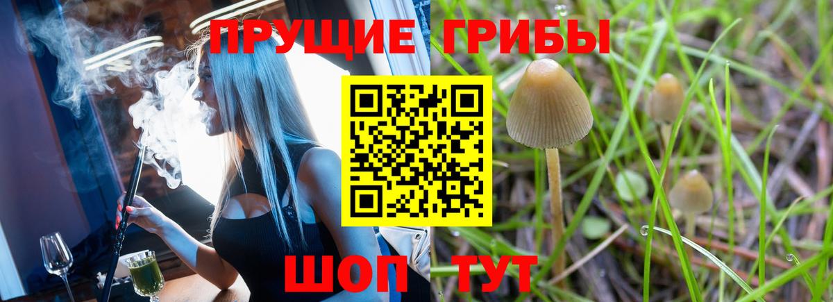 Галлюциногенные грибы прущие грибы  Вход с VPN  Псилоцибиновые грибы MAGIC MUSHROOMS  Кувандык 